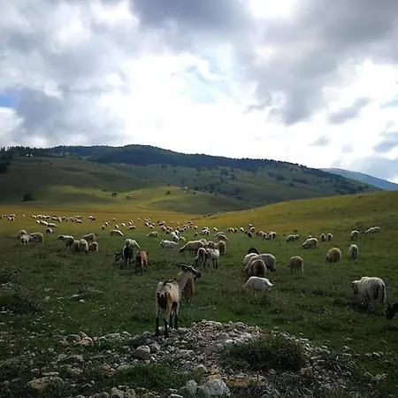 Brvnara Natura As *