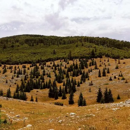Natura As Chalet *